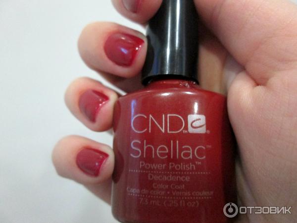 Shellac Decadance