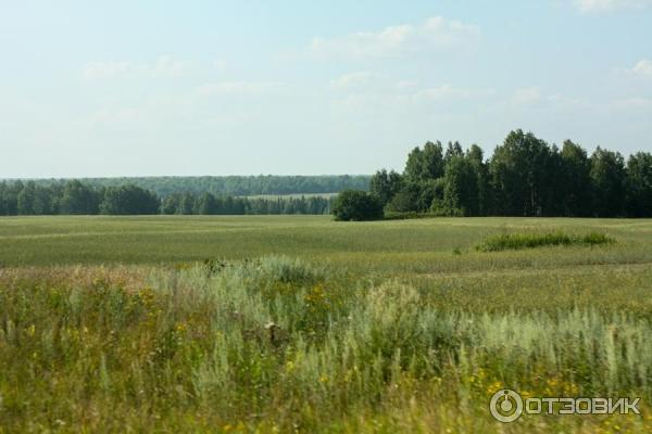 Отдых на реке Яя (Россия, Томская область) фото