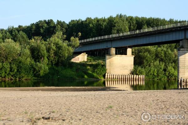 Отдых на реке Яя (Россия, Томская область) фото