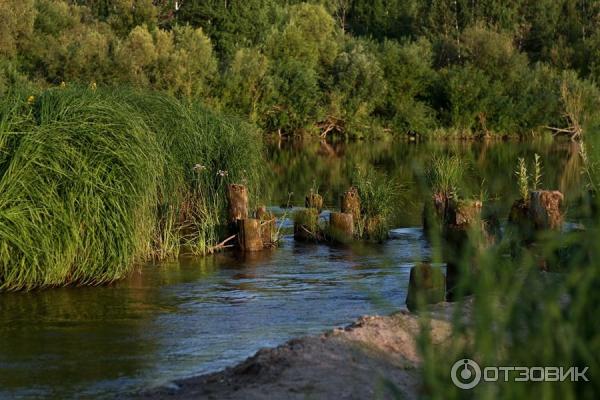 Отдых на реке Яя (Россия, Томская область) фото