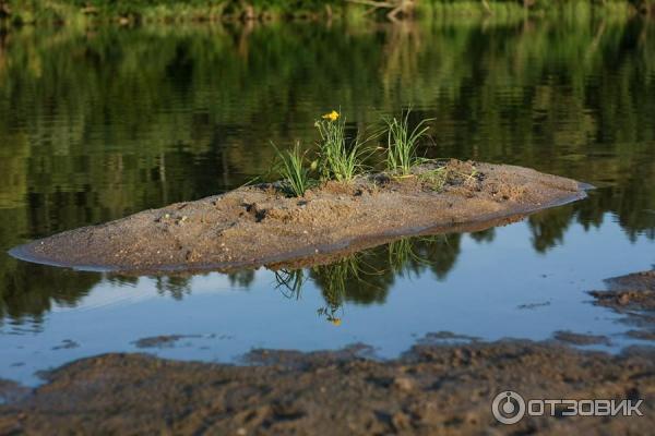 Отдых на реке Яя (Россия, Томская область) фото