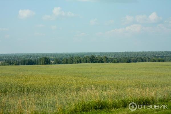 Отдых на реке Яя (Россия, Томская область) фото