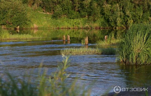 Отдых на реке Яя (Россия, Томская область) фото