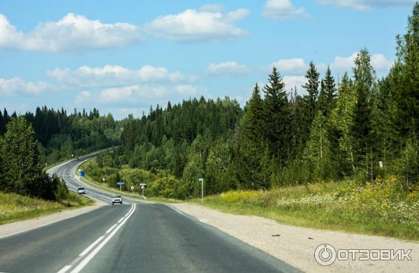 Отдых на реке Яя (Россия, Томская область) фото