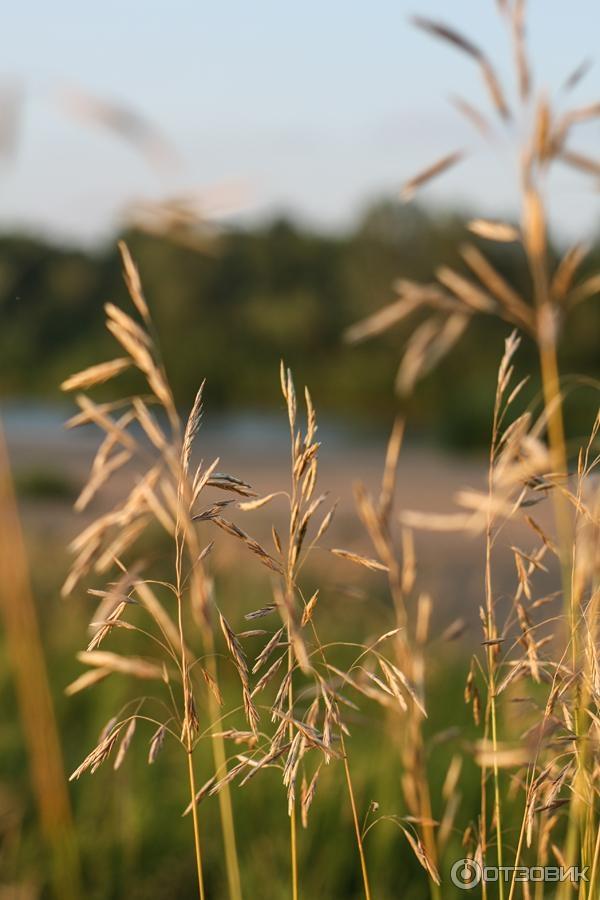 Отдых на реке Яя (Россия, Томская область) фото