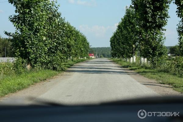 Отдых на реке Яя (Россия, Томская область) фото