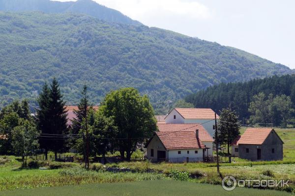 Экскурсия в село Негуши (Черногория) фото