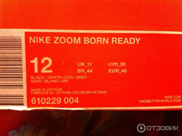 Кроссовки баскетбольные Nike Zoom Born Ready фото