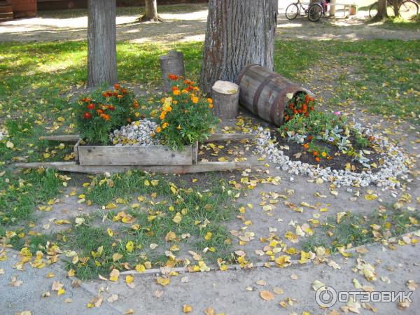 Музей-усадьба А. К. Толстого в с. Красный Рог (Россия, Брянская область) фото
