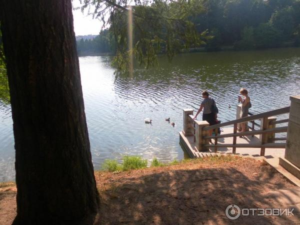 Дворцово-парковый ансамбль Царицыно (Россия, Москва) фото