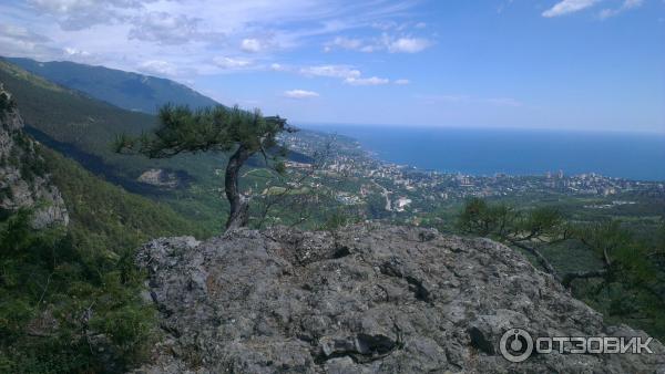 Боткинская тропа (Россия, Ялта) фото