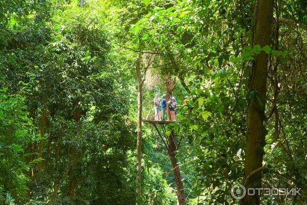 Канопи на острове Самуи (Canopy Adventures) фото