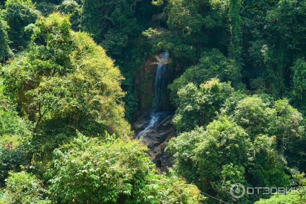 Канопи на острове Самуи (Canopy Adventures) фото