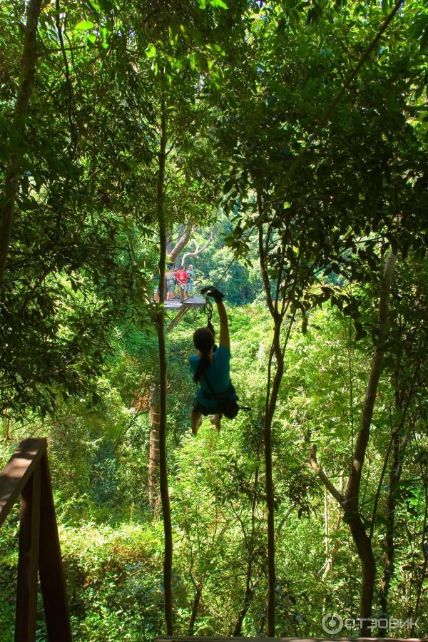 Канопи на острове Самуи (Canopy Adventures) фото