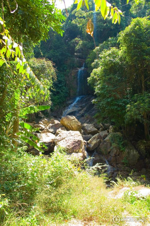 Канопи на острове Самуи (Canopy Adventures) фото