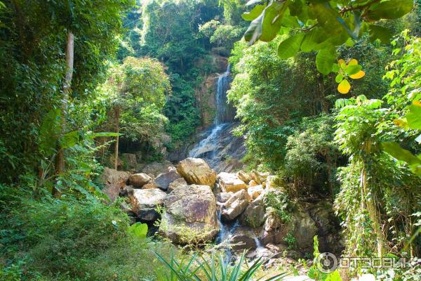 Канопи на острове Самуи (Canopy Adventures) фото