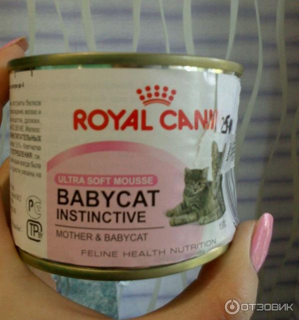 Паштет для котят Royal Canin Babycat Instinctive фото