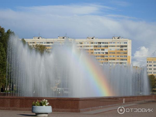 Южно-Приморский парк (Россия, Санкт-Петербург) фото