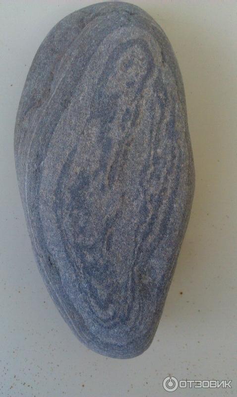 Дольмен в Джубге (Россия, Краснодарский край) фото