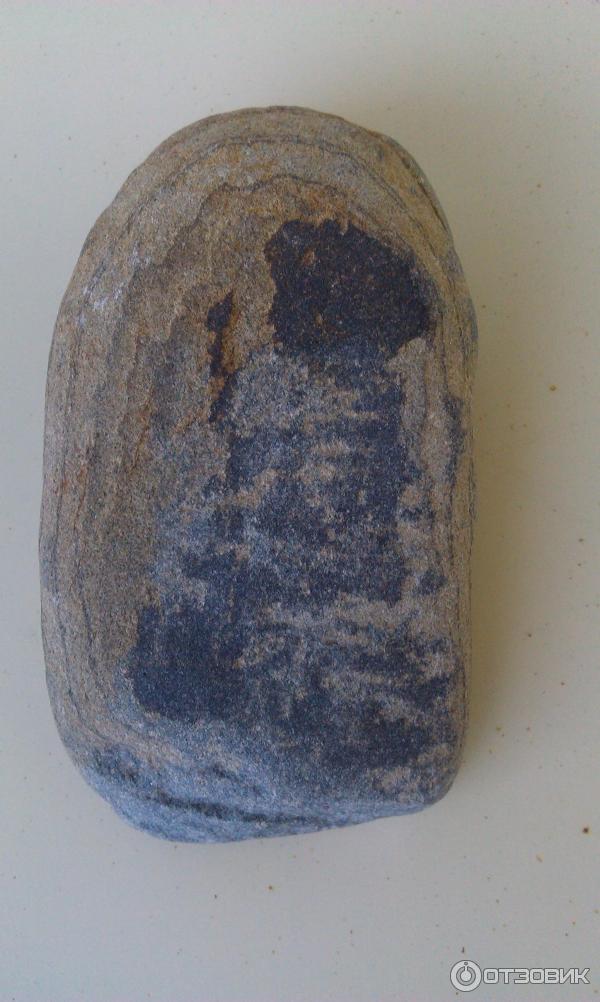 Дольмен в Джубге (Россия, Краснодарский край) фото