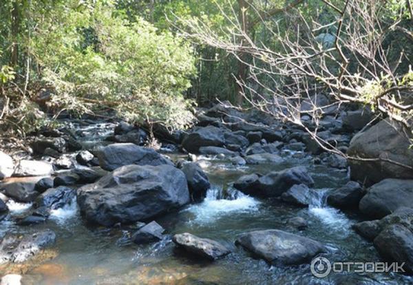 Экскурсия к водопаду Дудхсагар (Индия, Гоа) фото