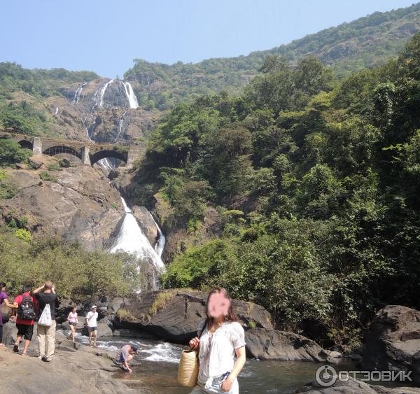 Экскурсия к водопаду Дудхсагар (Индия, Гоа) фото