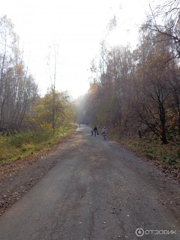Заповедник столбы