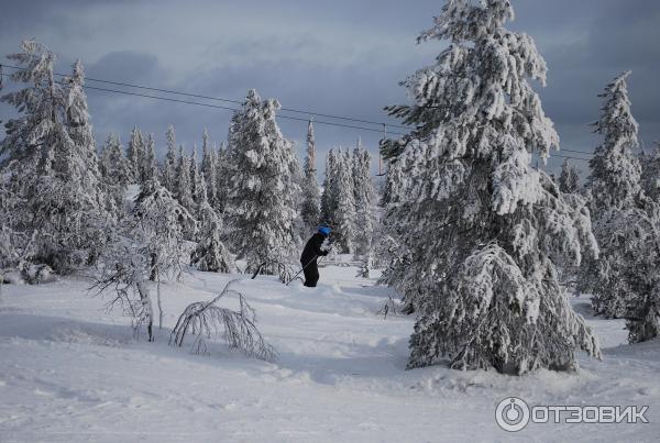 Горнолыжный курорт Леви (Финляндия) фото