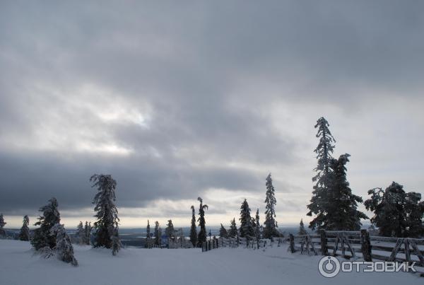 Горнолыжный курорт Леви (Финляндия) фото