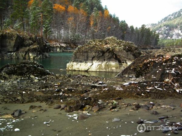 Река Катунь (Россия, Алтайский край) фото