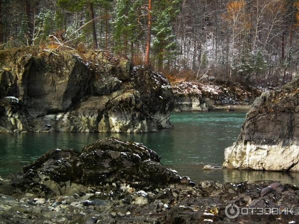 Река Катунь (Россия, Алтайский край) фото