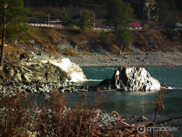 Река Катунь (Россия, Алтайский край) фото