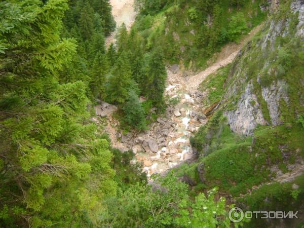 Экскурсия в Замок Нойшванштайн (Германия, Швангау) фото