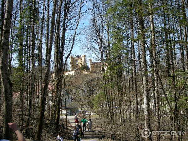 Экскурсия в Замок Нойшванштайн (Германия, Швангау) фото