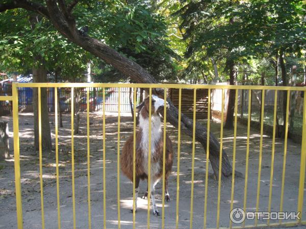 Симферопольский зоопарк (Россия, Симферополь) фото