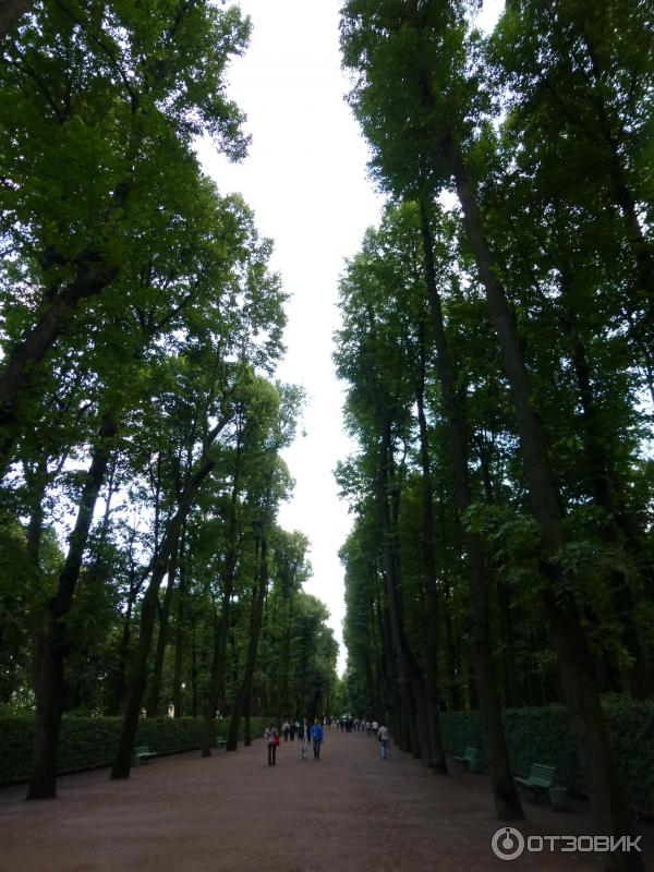 Летний сад (Россия, Санкт-Петербург) фото