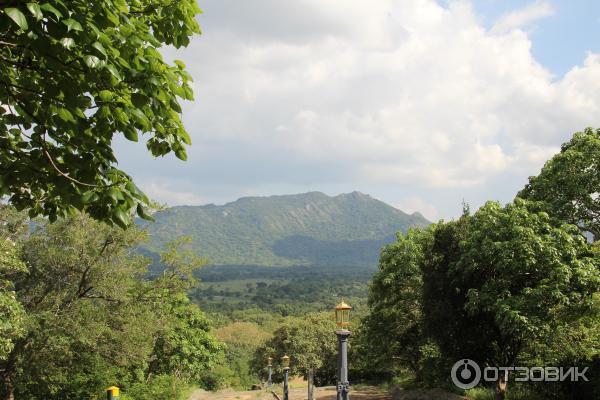 Экскурсия в храм Золотого Будды (Шри-Ланка, Дамбулла) фото