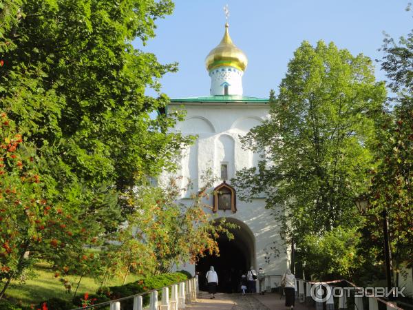 Экскурсия в Псковскую область (Россия, Псковская область) фото