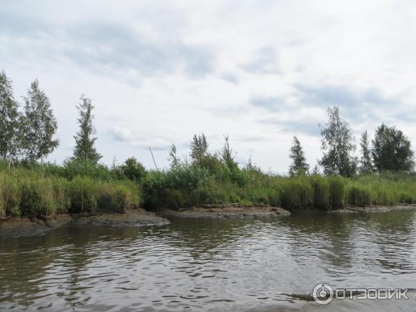 Экскурсия в Псковскую область (Россия, Псковская область) фото