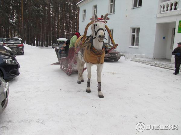 Каштакский бор фото