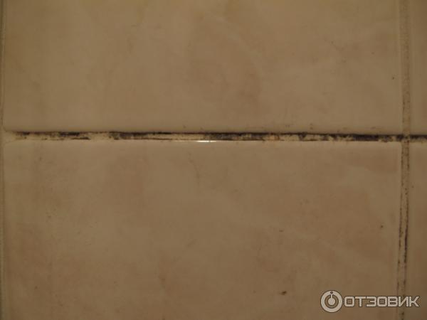 Средство для удаления плесени Сан Клин фото