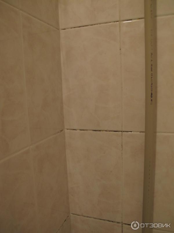 Средство для удаления плесени Сан Клин фото