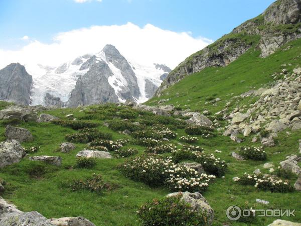 Альплагерь Безенги (Россия, Кабардино-Балкария) фото