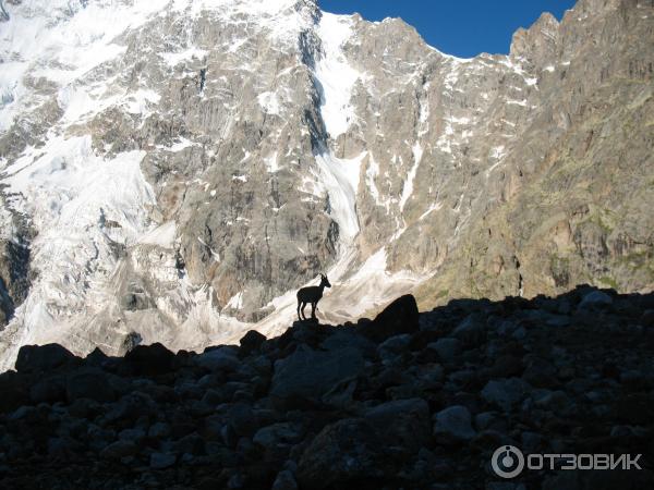 Альплагерь Безенги (Россия, Кабардино-Балкария) фото