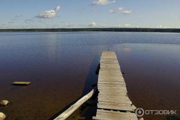 Важеозерский Спасо-Преображенский монастырь (Россия, Карелия) фото