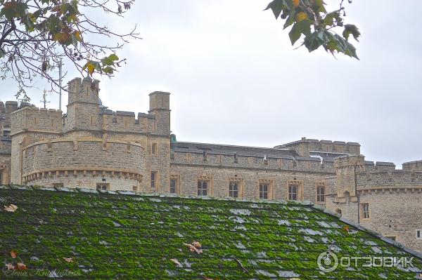 Лондонский Тауэр (Великобритания, Лондон) фото