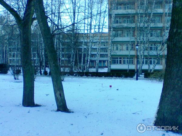 Санаторий Березовый гай (Украина, Миргород) фото