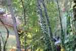 Отель Marmaris Park HV-1 (Турция, Мармарис) фото