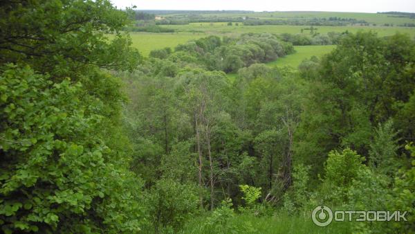 Введенский ставропигиальный мужской монастырь Оптина Пустынь (Россия, Козельск) фото