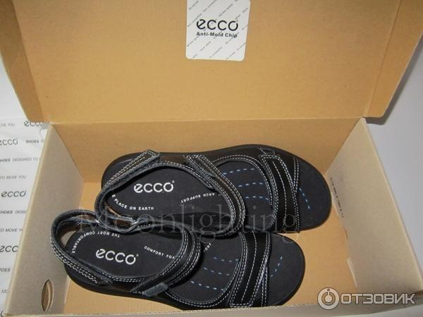 Сандалии женские Ecco фото